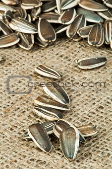 Closeup sunflower seeds on burlap