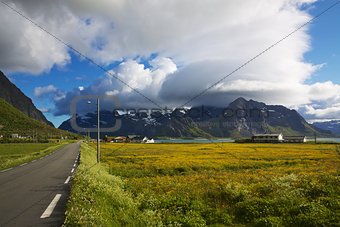 Road to Lofoten