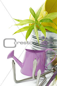 Watering Can with Gardening Tools