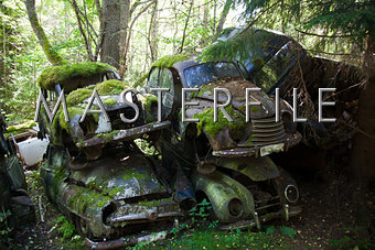 Car covered in Moss