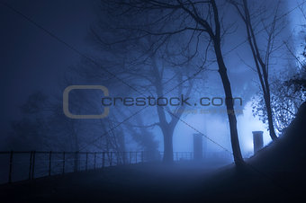 Fog in the darkness