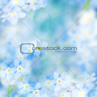 Fantasy Gentle Floral Background / Blue Flowers Defocused