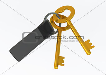 House Keys with Labe Illustrationl isolated on white background