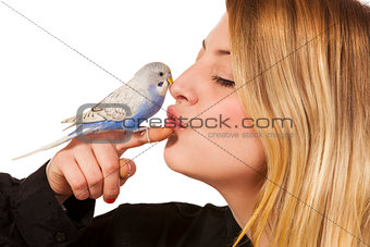 Friendly Parakeet
