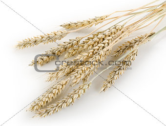 Stalks of wheat