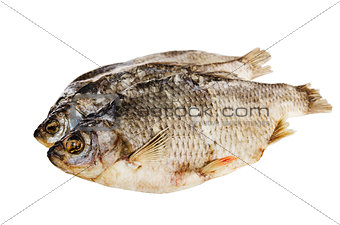 dried fish is isolated on white 