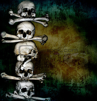 Human skulls and bones