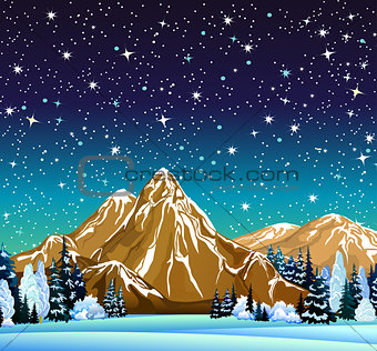 Winter night landscape with starry sky