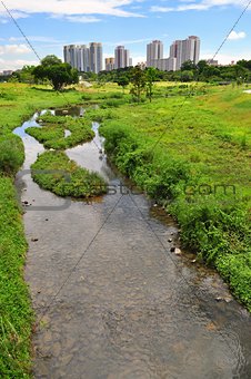 Scenic view of Bishan Park