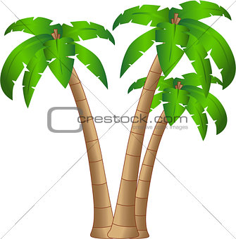 the vector tropical tree isolated on white background