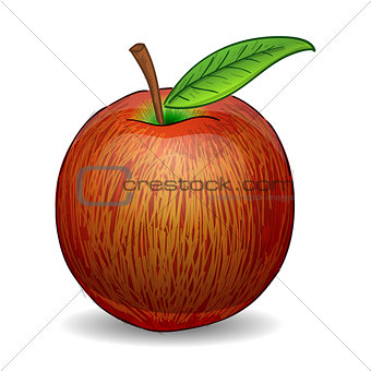 Red Apple Illustration