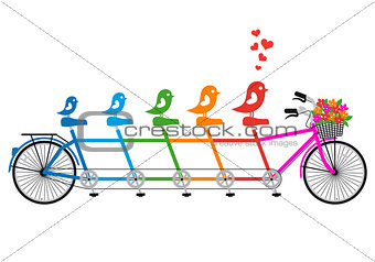tandem bicycle with bird family, vector