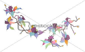 orchid branch isolated over white background
