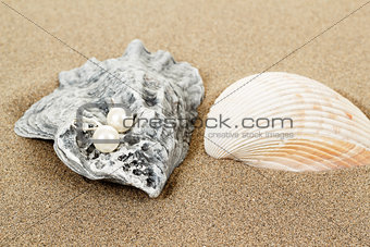 two pearl earrings and shells on sand