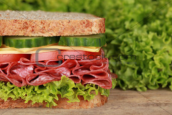 Sandwich with pepperoni, lots of copyspace