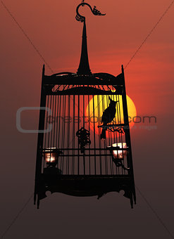 Singing bird in cage, against the setting sun