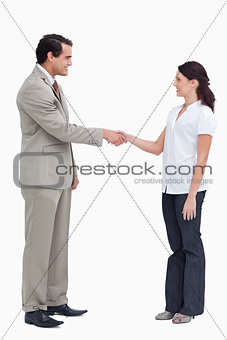 Side view of business people shaking hands