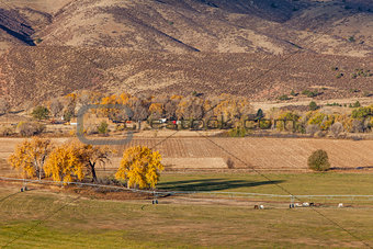 farmland at Colorado foothills