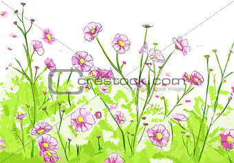 Floral illustration on white background