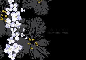Floral illustration on black background