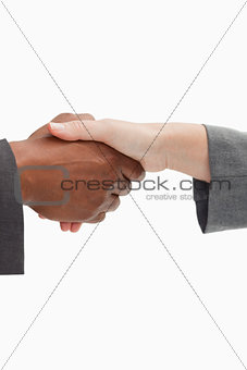 firm handshake