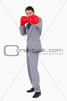 Businessman wearing boxing gloves 