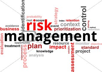 word cloud - risk management