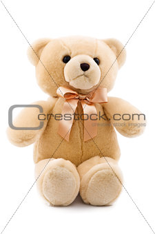 cute teddy bear isolated on white background
