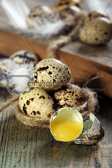 Broken quail egg.