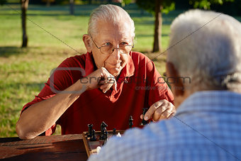 Active retired people, two senior men playing chess at park