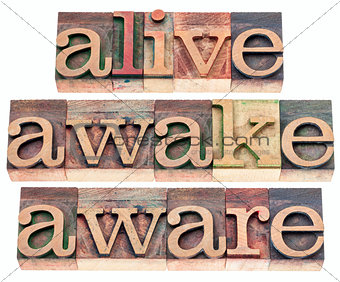 alive, awake, aware 