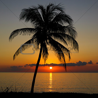 sunset over Caribbean Sea, Maria la Gorda, Pinar del Rio Province Cuba