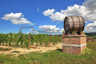 Italian winery. Castiglione Falletto, Northern Italy.