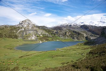 Ercina lake in Asturias