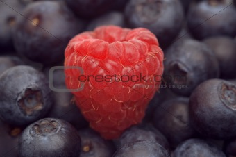 raspberry on the bilberry background