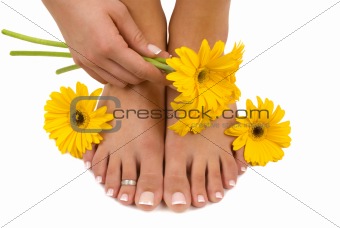 Pedicured Feet