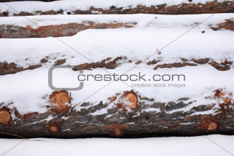 Snow covered stack of wood