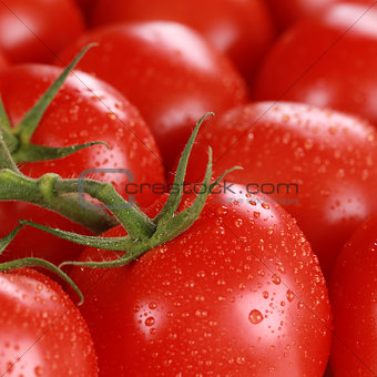 Macro shot of fresh tomatoes