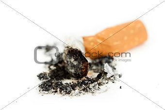 Close up of a cigarette put out