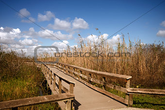 A wooden bridge through the Everglades