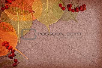 Autumn background 