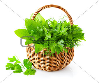 green herbs in braided basket