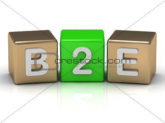 B2E Business to Employee symbol on gold and green cubes