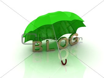 blog under the green umbrella