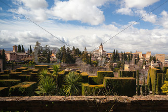 Gardens in Granada in winter
