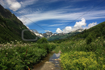 Mountain scenery, alpine meadows in summer