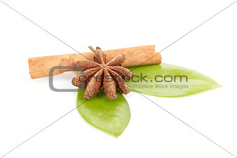 Star Anise, cinnamon and and green leave on white