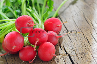 garden radish isolated on old wooden