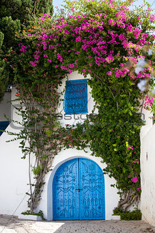 Blue doors and white wall of Sidi Bou Said, Tunisia