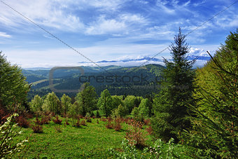 Beautiful mountain landscape - Carpathians